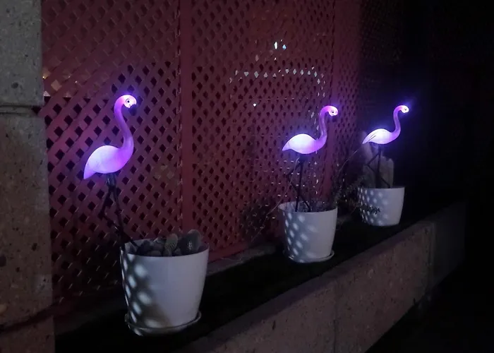 Apartman Casa Soraya